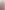 Eni burgundy-beige pattern polo product image