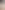 Tamara cream-gold pattern polo product image