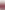 Tünde burgundy 1-button blazer product image