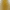 Diana yellow combined coat product image