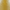 Diana yellow combined coat product image