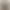 Rella elongated light beige blazer product image