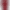 Réka burgundy velvet casual dress product image