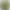 Ella knit green leafy blouse product image