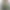 Rella moss green blazer product image