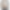 Early beige glitter blouse product image