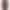 Flora burgundy coat product image