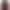 Flora burgundy coat product image