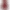 Bogi burgundy sequined dress product image