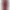Tara casserole burgundy dress product image