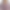 Rella is purple blazer product image