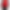 Rella is red blazer product image